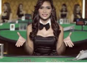 旺财28.ccpc29APP2024最新版